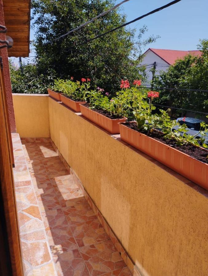 Năvodari Vila Florelena מראה חיצוני תמונה
